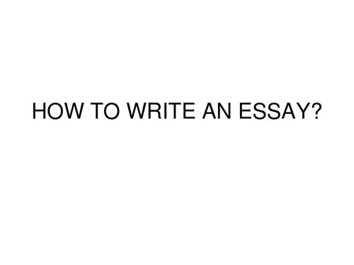 Essay怎么写