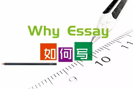 Why School Essay怎么写