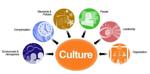 组织文化结构图